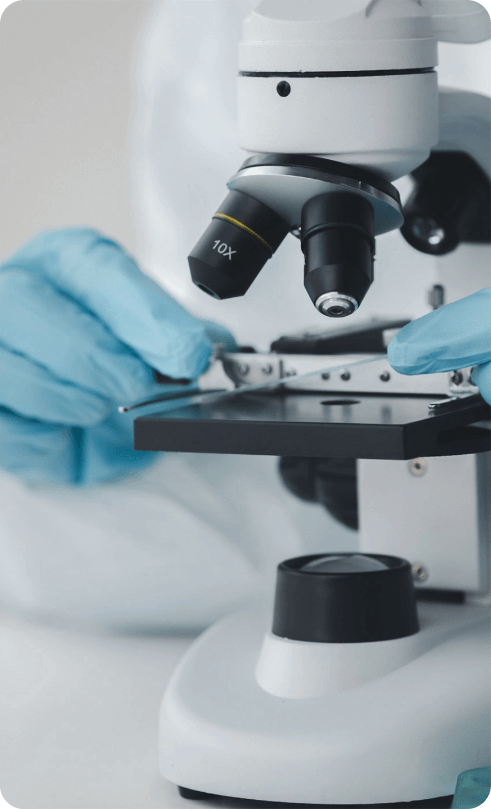 Microscope